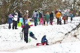 Oblężenie wszystkich górek w mieście. Wrocławianie ruszyli na sanki [ZDJĘCIA]