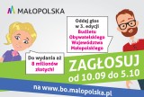 Znamy listę zadań, na które można głosować w ramach Budżetu Obywatelskiego Województwa Małopolskiego