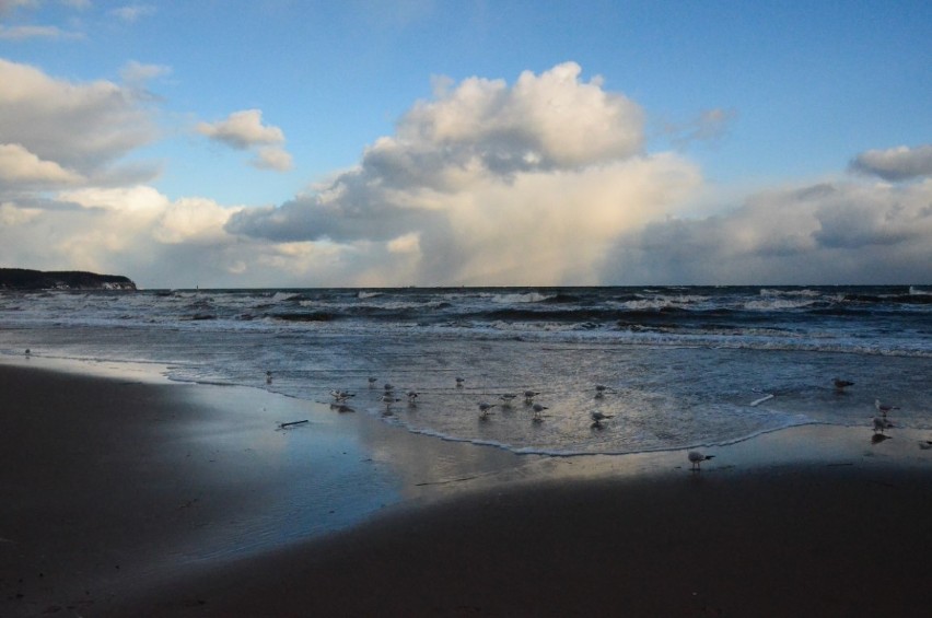 Spacer po sopockiej plaży. Zima na Pomorzu. Wybraliśmy się na spacer nad morze [ZDJĘCIA] 