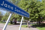 70 proc. drzew przeznaczonych do wycinki przy Samsonowicza uniknie jej?