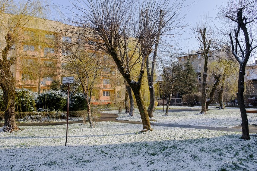 Mroźne przedpołudnie w opustoszałym Tarnowie [ZDJĘCIA]