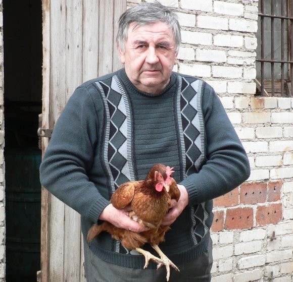 Henryk Sieniowski to jeden z nielicznych gospodarzy w Pobierowie, który legalnie hoduje kury. W kurniku ma 40 sztuk tego ptactwa. - Trzymam je głównie na własne potrzeby, ale zdarza się też, że znajomi proszą o odsprzedanie jajek od wiejskiej kury - tłumaczy.