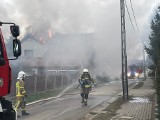 Pożar domu jednorodzinnego w Myśliszowie na Dolnym Śląsku. Przyjechało osiem wozów strażackich!
