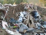 Śmieci z bazy na pole. Mieszkańcy Borowego Młyna alarmują (ZDJĘCIA)