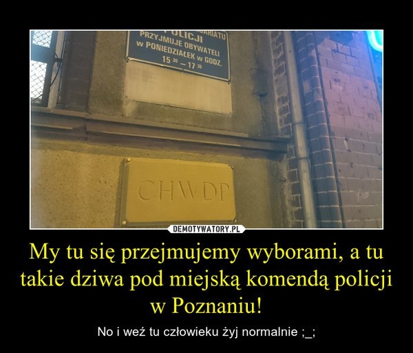 Internauci kpią z Poznania