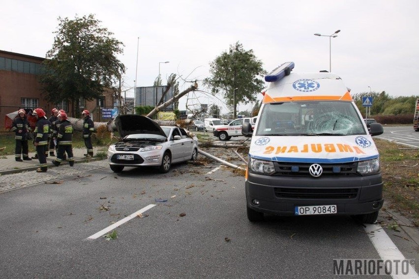 W wypadku zniszczony został też ford mondeo.