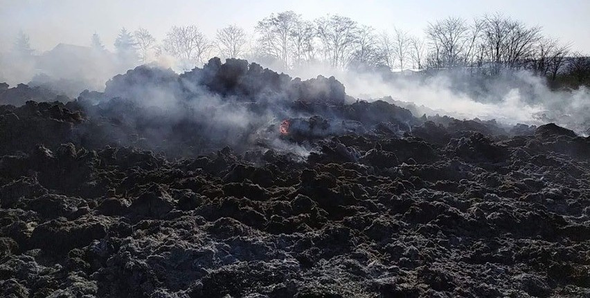 Duży pożar na polu pod Wrocławiem (ZDJĘCIA)   