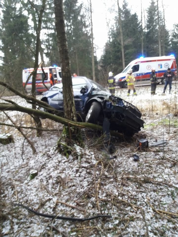 Samochód wypadł z trasy i uderzył w drzewo. Na miejscu...