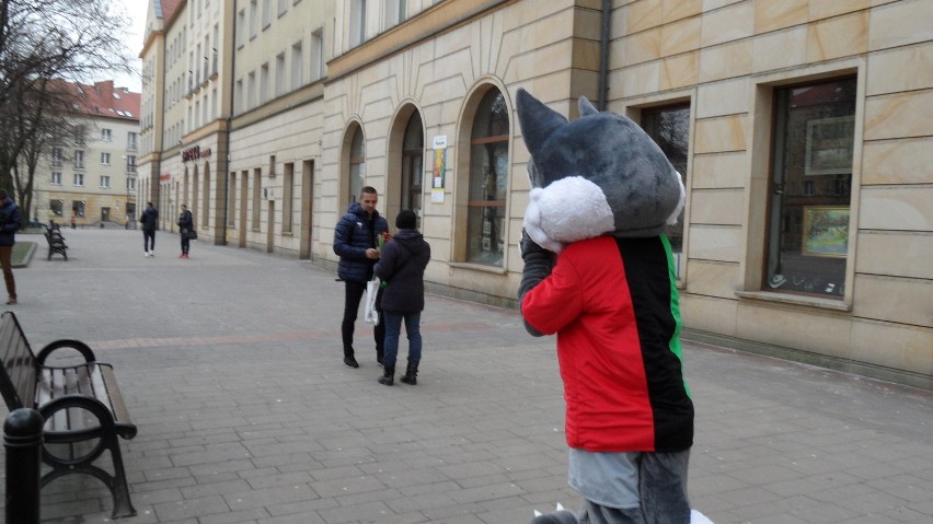 Kwiaty na Dzień Kobiet od GKS Tychy.