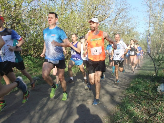 W środowe popołudnie rozegrano kolejną rundę Grand Prix Torunia w biegach przełajowych. Zwycięzcą został Wojciech Świderek, były piłkarz Elany Toruń. Oprócz głównego dystansu przygotowano także trzy dodatkowe biegi dla dzieci, w tym na dystansie 300 metrów dla najmłodszych. Kolejny bieg z cyklu Grand Prix Torunia jest zaplanowany na 15 maja.Zobacz zdjęcia z biegu ------>