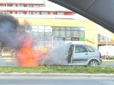 Pożar samochodu osobowego na ul. Kopisto w Rzeszowie. Strażacy w akcji! [ZDJĘCIA]
