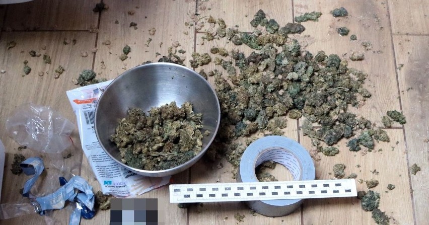 Kryminalni z koszalińskiej policji zabezpieczyli marihuanę....