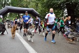 Dog Run 2017. Biegacze z psami pobiegli w szczytnym celu