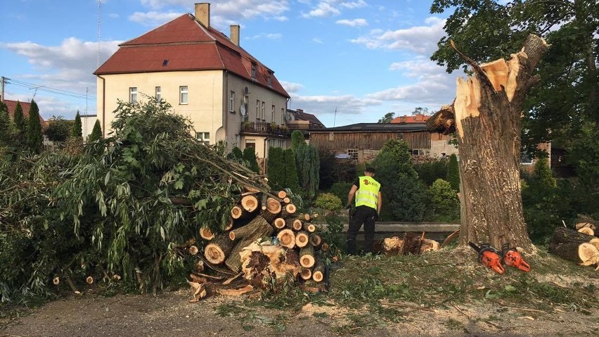 Usuwanie skutków nawałnicy na Pomorzu. Zniszczone lasy, domy bez prądu, nieprzejezdne drogi [raport]