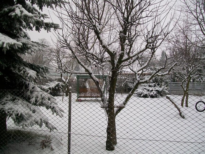 W Moszczance śnieg sypie od rana.