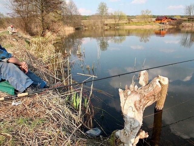Straż rybacka w powiecie świeckim jest w czołówce okręgu Polskiego Związku Wędkarskiego w Bydgoszczy