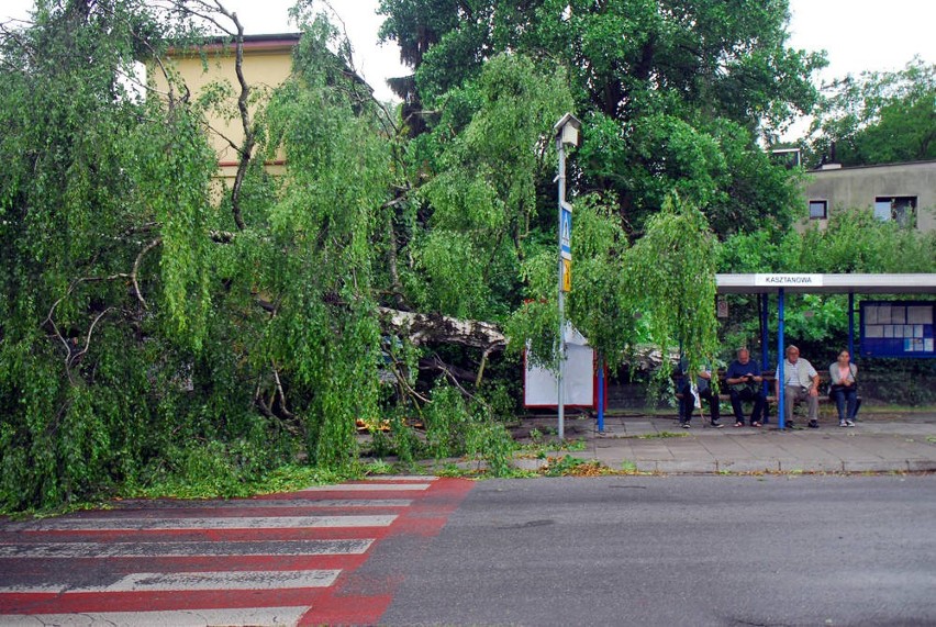 Kraków. Burza pozrywała sieć trakcyjną. Ruch tramwajów i autobusów został już przywrócony