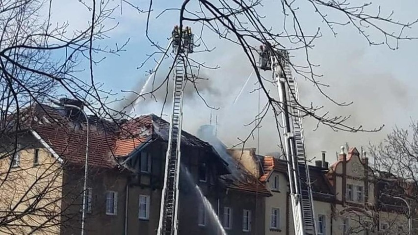 Z ogniem walczyło 12 zastępów straży pożarnej.