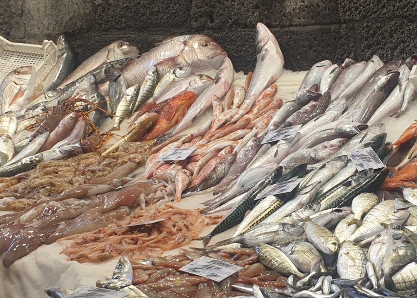 ryby świeże (kg) 8- 30 euro