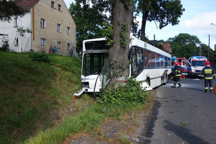 Wypadek w Zarębie pod Lubaniem. Autobus wjechał w drzewo, 22 osoby ranne 