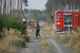 Zakaz wstępu do lasów na Dolnym Śląsku. Zagrożenia pożarowe w 12 nadleśnictwach
