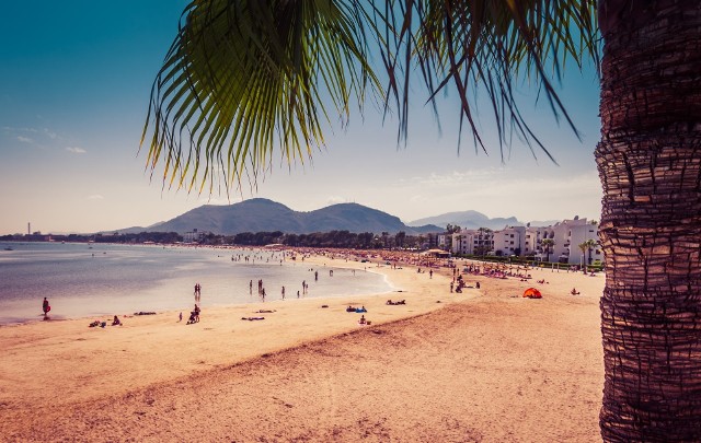 W przeliczeniu ponad 9 tys. zł mandatu będzie groziło za palenie na plaży w Hiszpanii.Na zdjęciu plaża w Port de Alcudia na Majorce.
