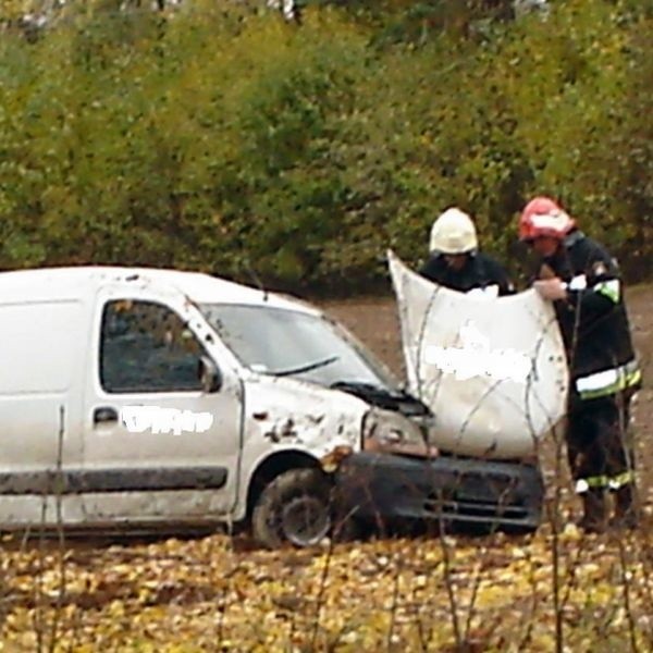 Skutki wypadku z każdym zwierzęciem mogą być opłakane