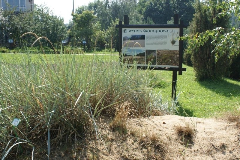 Wyprawa nad jezioro Charzykowskie