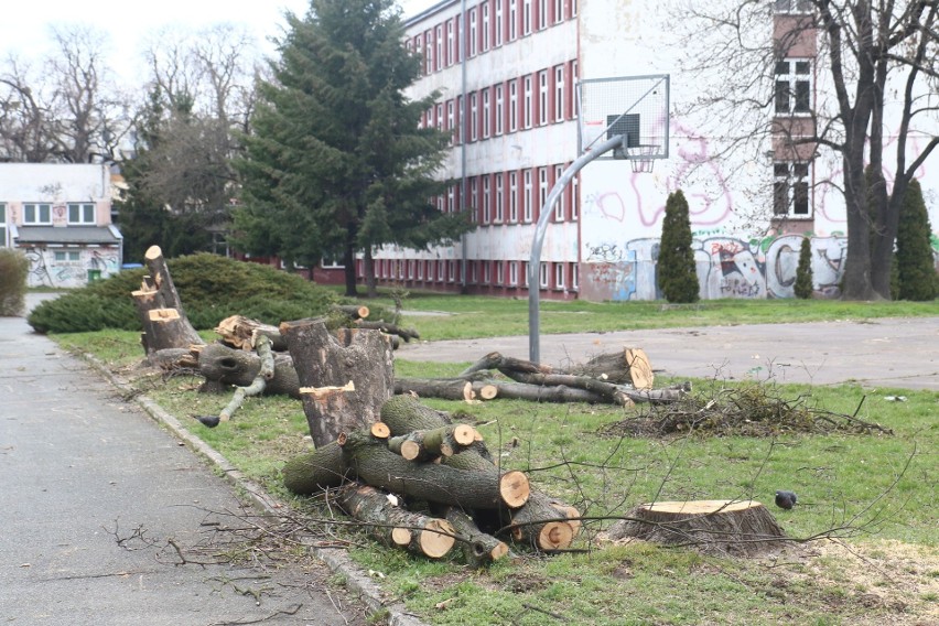 W szkole na Różance trwa wycinka drzew. Co się dzieje?