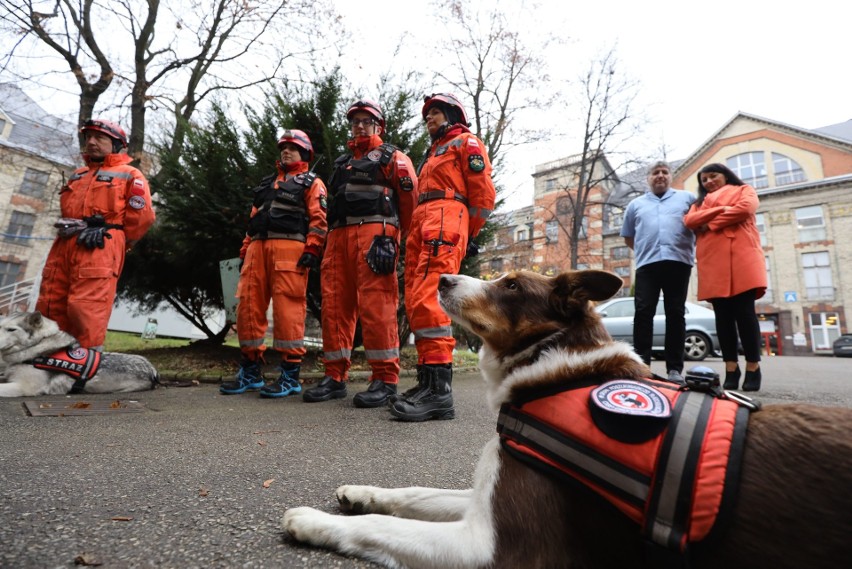 Grupa Poszukiwawczo-Ratownicza Ochotniczej Straży Pożarnej z Orzecha przyjechała do Bytomia. W opuszczonym skrzydle WSS nr 4 szkoliła psy