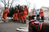 Grupa Poszukiwawczo-Ratownicza Ochotniczej Straży Pożarnej z Orzecha przyjechała do Bytomia. W opuszczonym skrzydle WSS nr 4 szkoliła psy