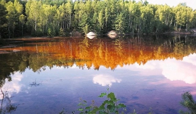 Niektórzy twierdzą, że tytuł dla lubuskiego geoparku jest porównywalny z wpisaniem na listę światowego dziedzictwa UNESCO.