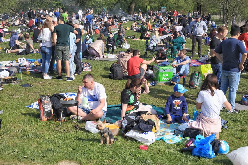 Majówka nad Rusałką. Poznaniacy grillują i odpoczywają nad...