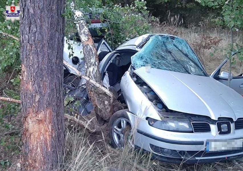 Lubelskie. Dwa tragiczne wypadki jednego dnia. Nie żyją 2 osoby