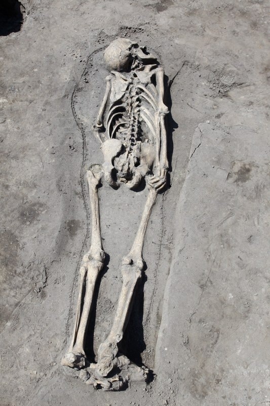 Ludzkie szczątki sprzed 1000 lat znalezione na Śródce przez...