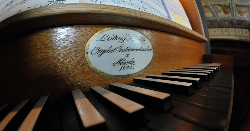 Po renowacji klawiatury organów nowe klawisze podstawowe są...