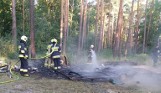 Przyczepa kempingowa doszczętnie spłonęła w lesie w Tarnowie Jeziernym w gminie Sława 