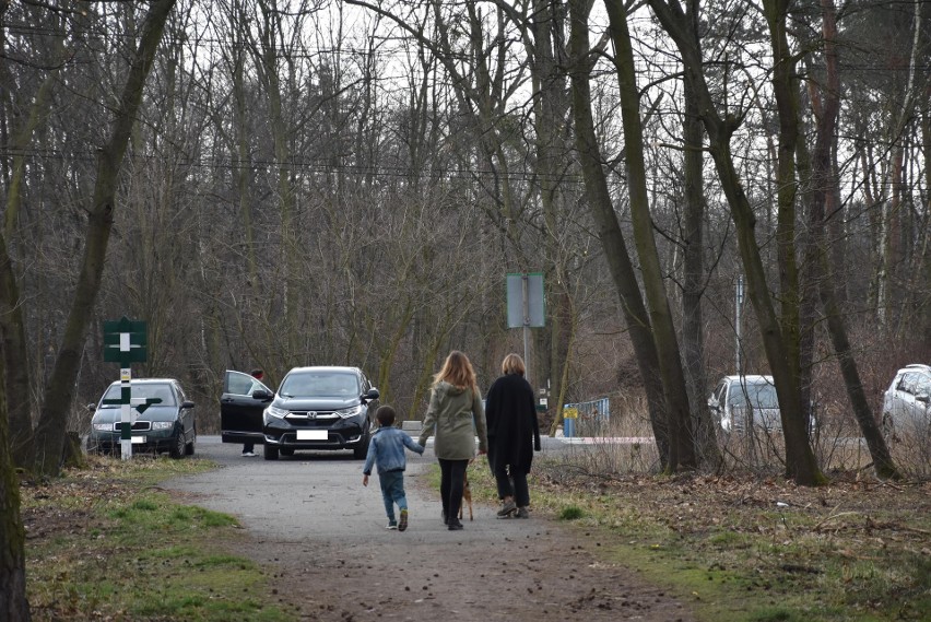 Koronawirus: W śląskich lasach tłumy spacerujących