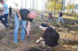 Dwa lata temu setki osób sadziło zniszczony las. W tym roku koronawirus pokrzyżował plany leśników (zdjęcia)