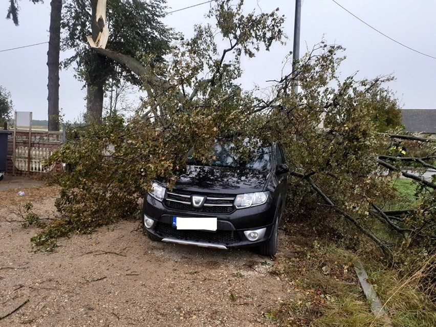Wichura w Podlaskiem. Silny wiatr łamał drzewa. Na drogach doszło do wielu poważnych wypadków [ZDJĘCIA] 18.09.2019