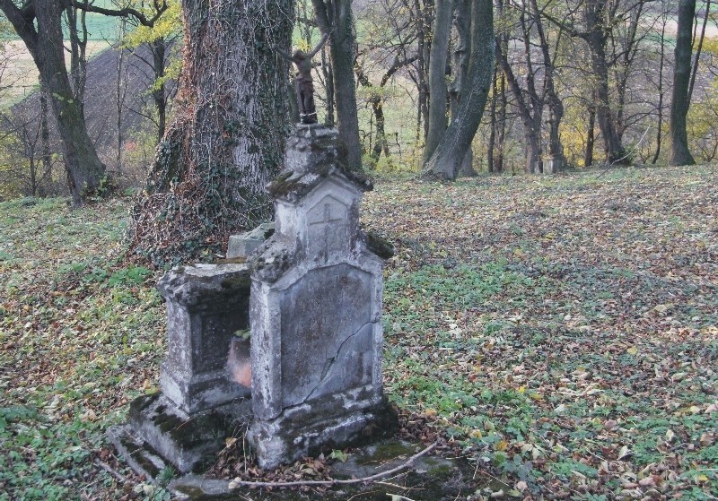 Stary cmentarz w Drohojowie.