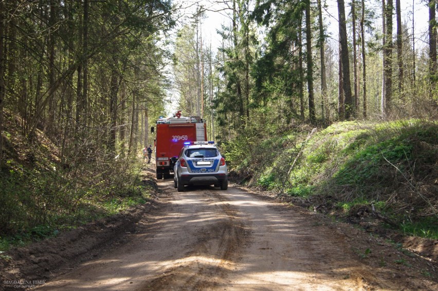 Czołnowo. Ford spłonął na skraju lasu [ZDJĘCIA]