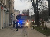 Kraków. Tragiczny pożar na os. Teatralnym w Nowej Hucie. Zginęła kobieta