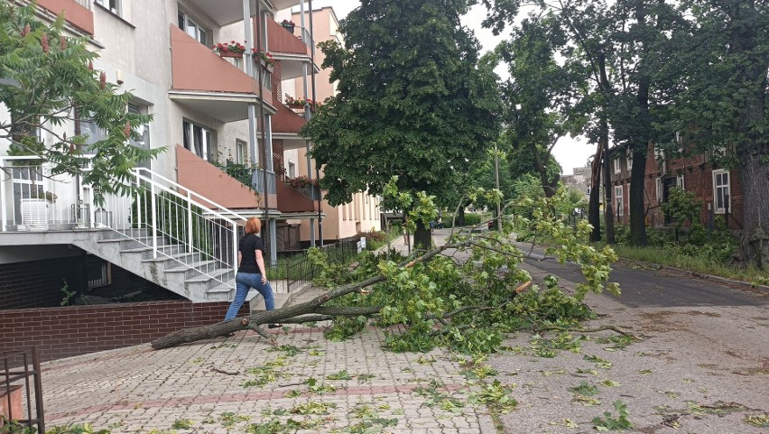 Strażacy z Toruniu i pobliskich terenów wyjeżdżali około 100...