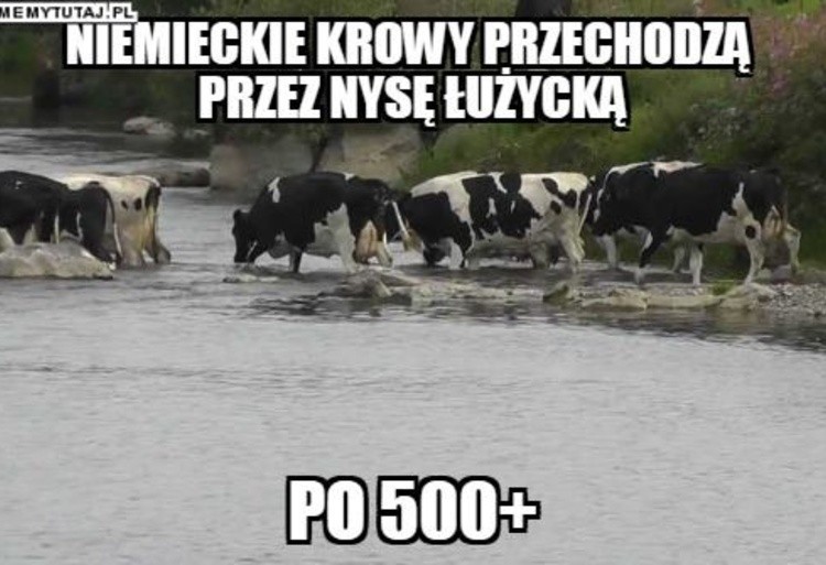 Obietnica Prawa i Sprawiedliwości dopłaty rolnikom 500...