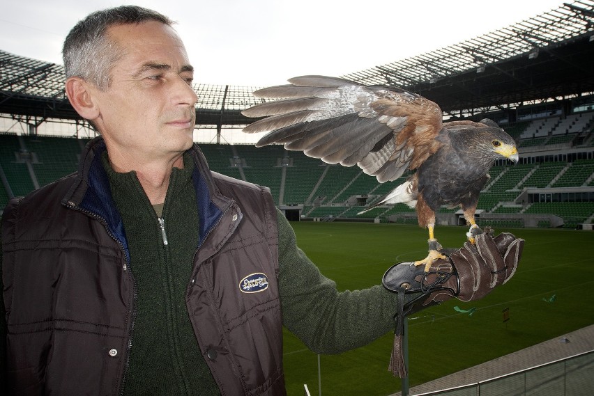 Krzysztof Kapral, sokolnik z 30-letnim stażem, i jego...