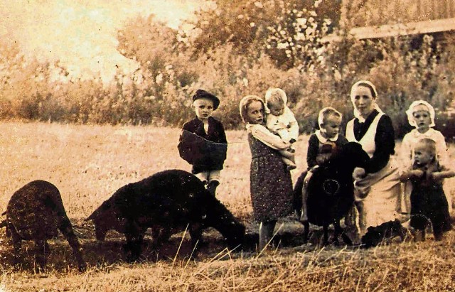 Wiktoria Ulm razem z szóstką dzieci: Stasiem, Basią, Władziem, Franusiem, Antosiem i Marysią. Zdjęcie zrobił prawdopodobnie jej mąż