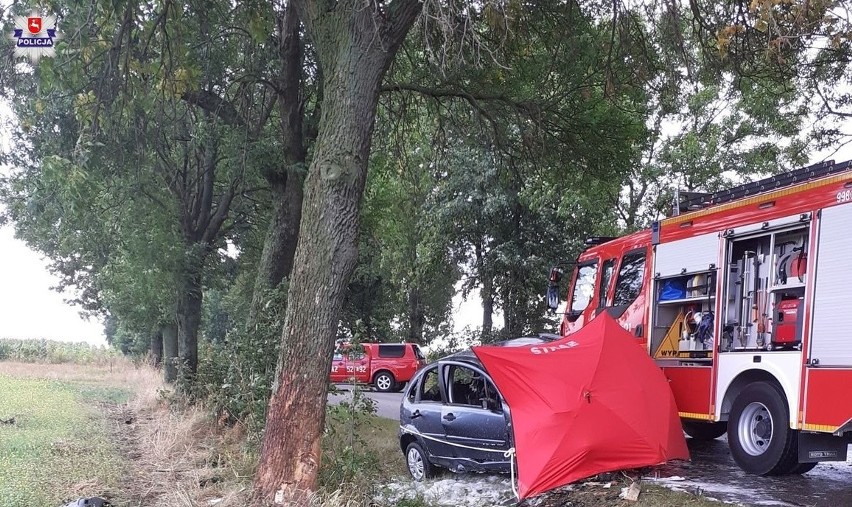 Ryki. Tajemniczy śmiertelny wypadek na drodze. Policja bada przyczyny