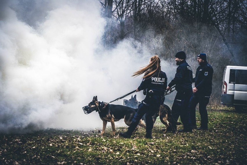 Szkolenie policyjnych psów patrolowo - tropiących odbyło się...