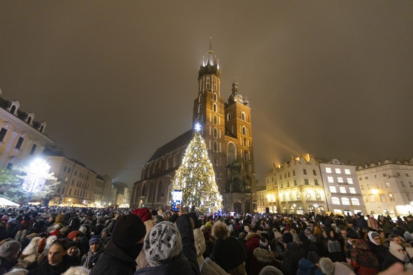 Choinka na Rynku Głównym